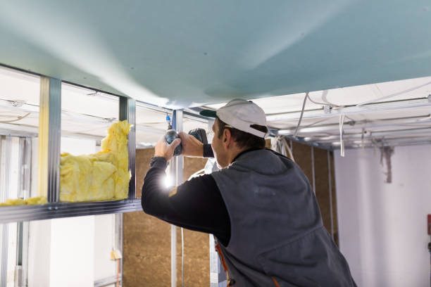 Mount Carroll, IL Insulation Contractor Pros