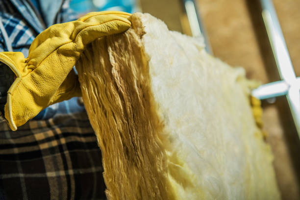 Professional Insulation Contractor in Mount Carroll, IL