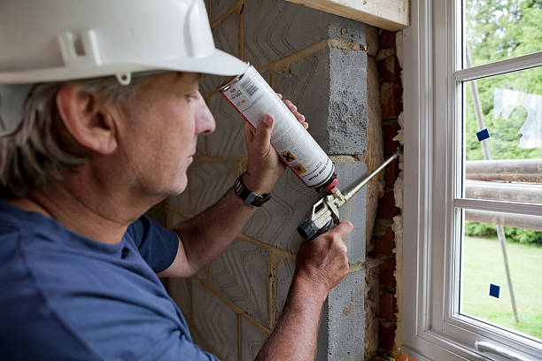 Best DIY Insulation Kits and Guidance in Mount Carroll, IL