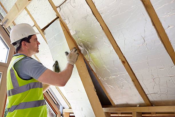Best Residential Insulation in Mount Carroll, IL